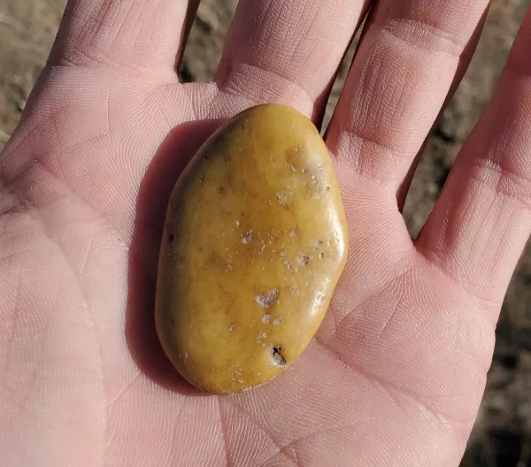 Pocket rock worry stone