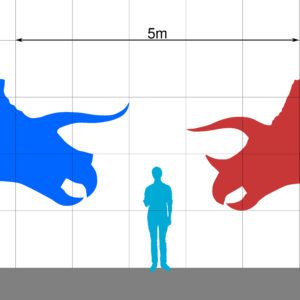 Triceratops Lower Beak