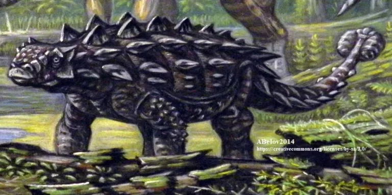 ankylosaur dinosaur fossil